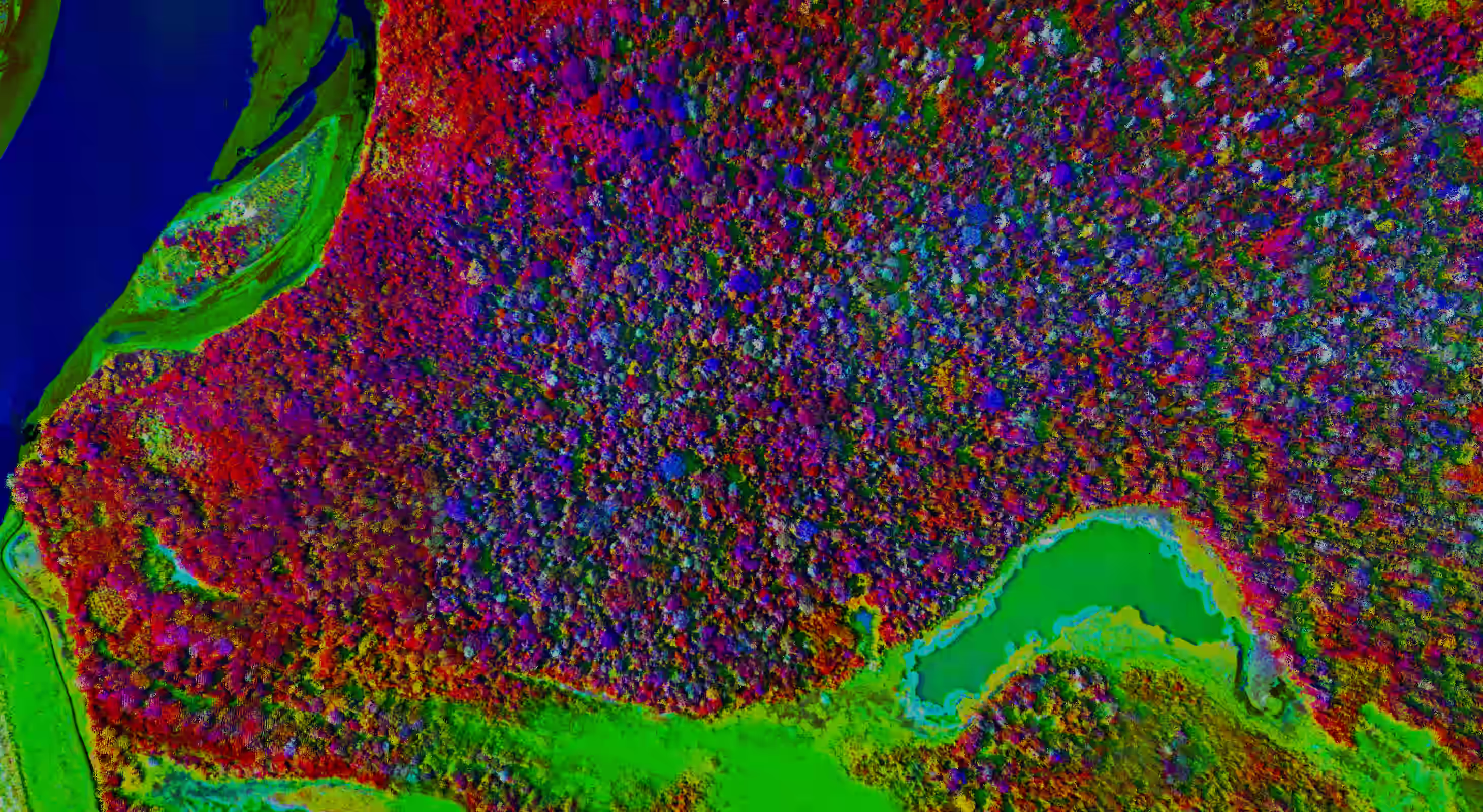 Colorful false-color aerial image of dense forest and water bodies in varied bright hues.