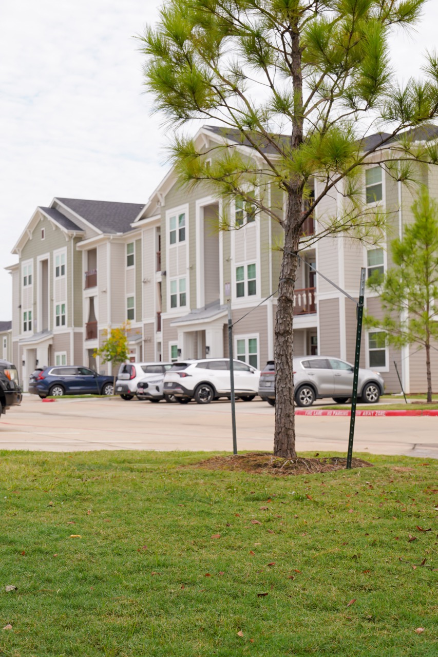 Maintained turf and trees beside Ariza Westview apartment buildings