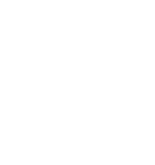 White shield icon
