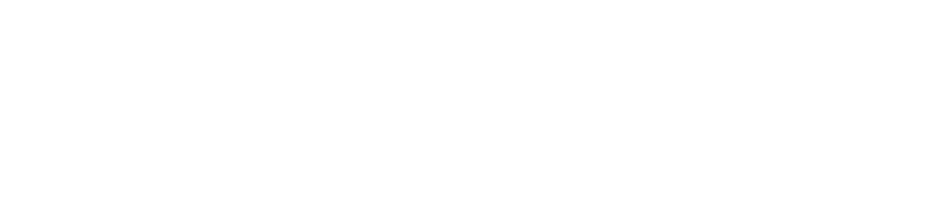 SYNERGY Entertainment Technologies
