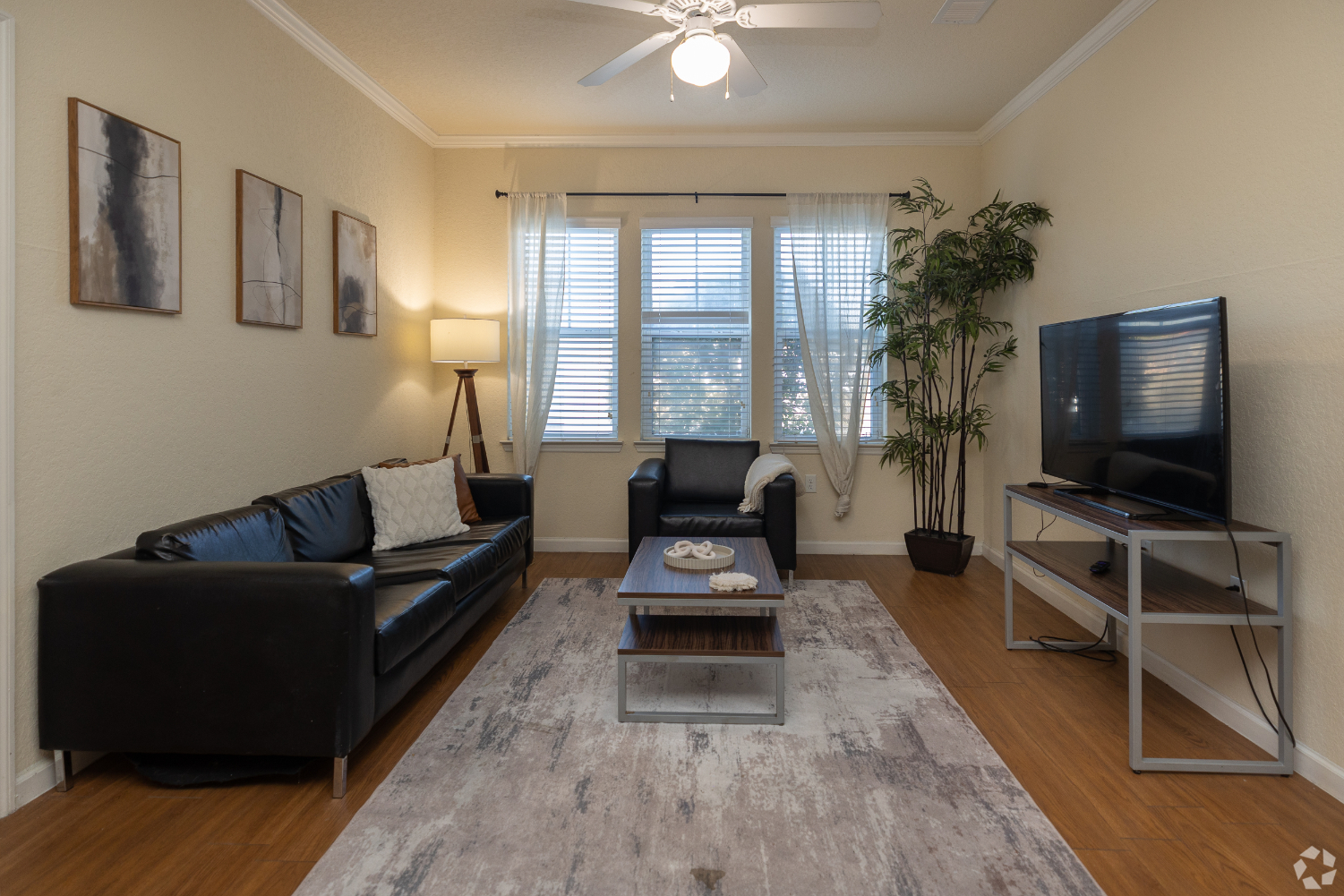 living area with sofa, coffee table, and tv