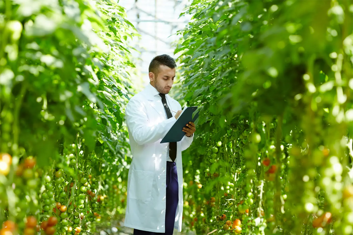 Start growing with the  right support