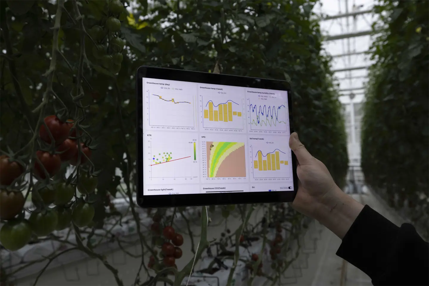 Growth modeling