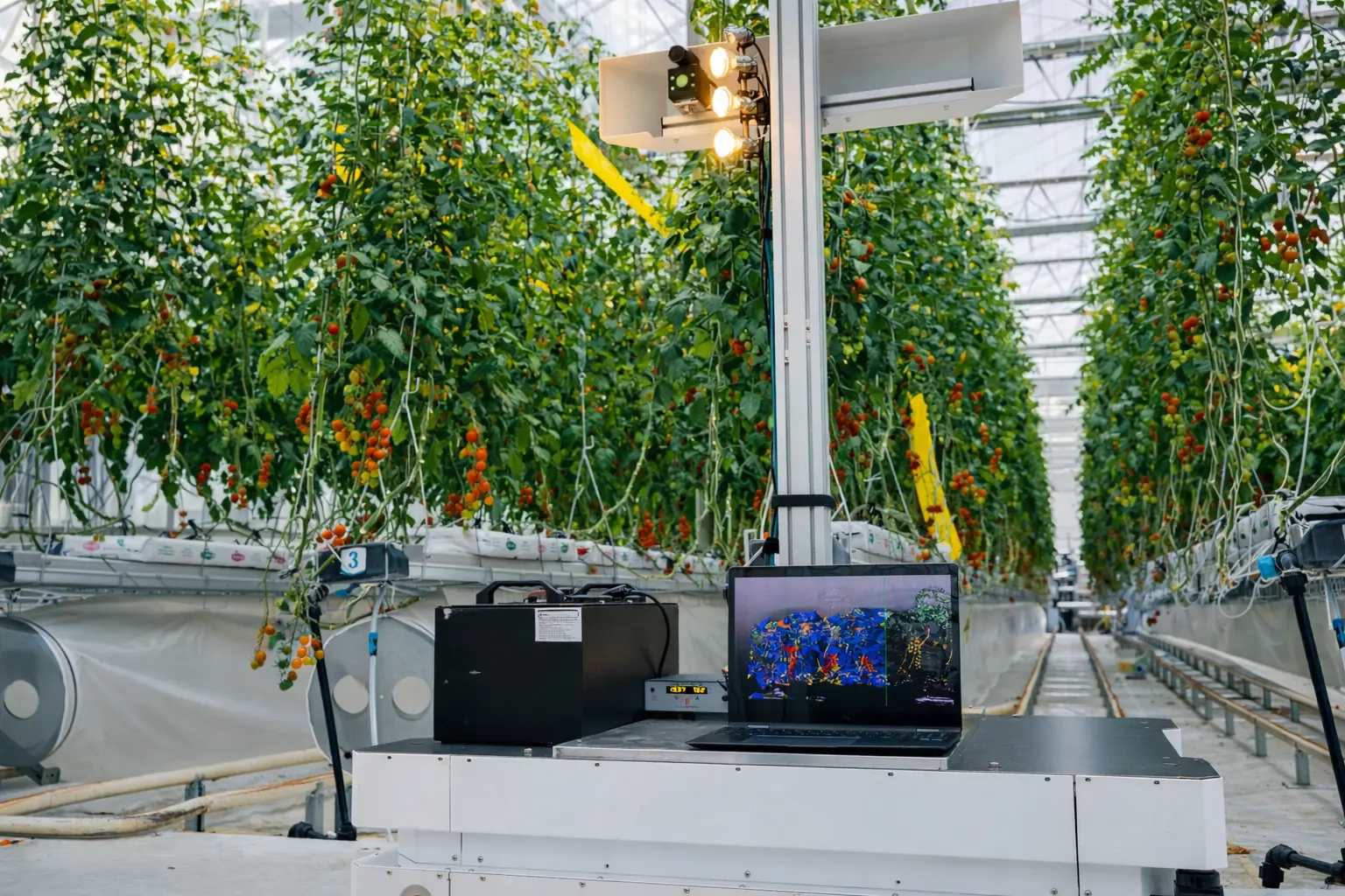 GrowBots move independently through the greenhouse