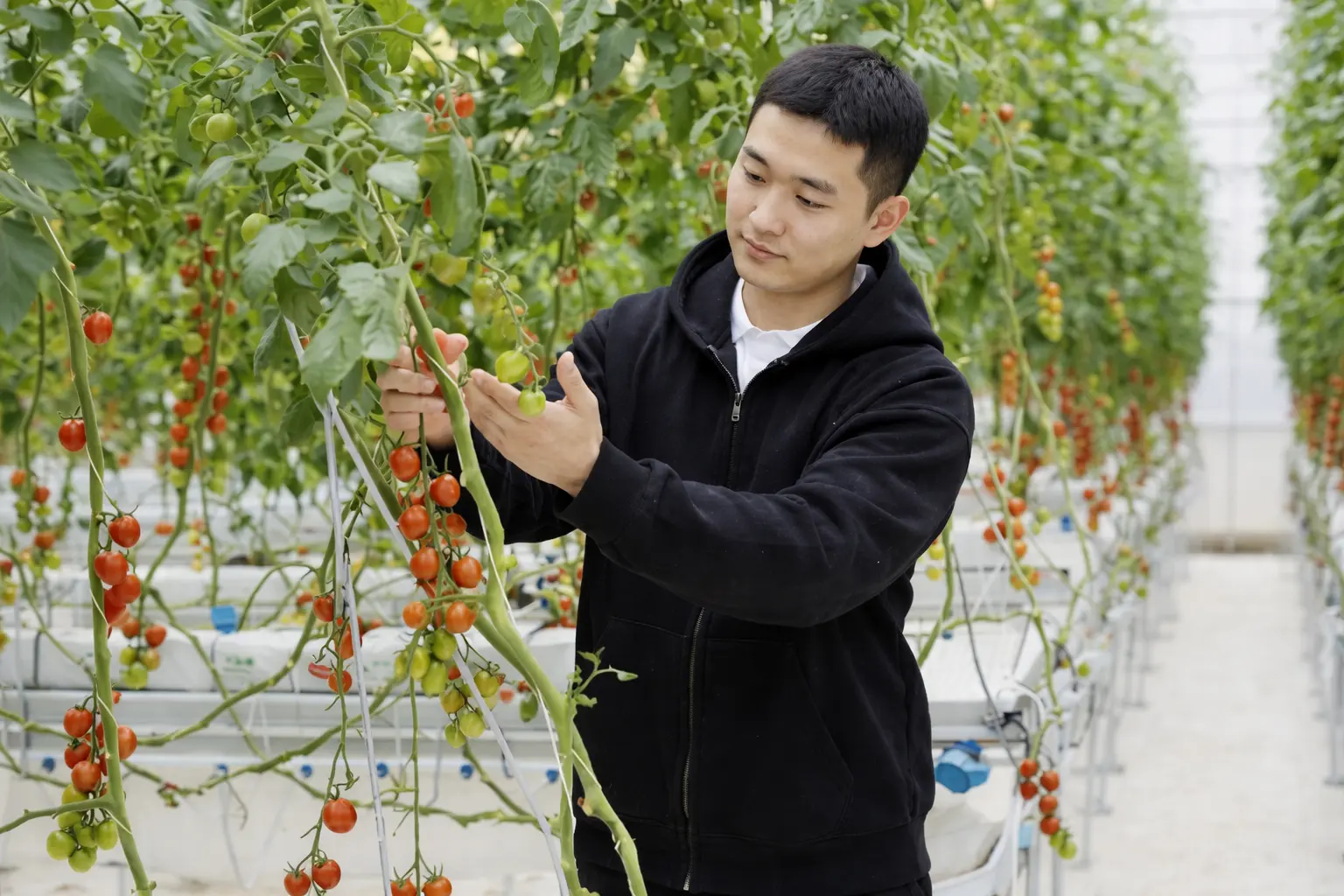 Each cycle strengthens our GrowPilot AI, improving yields, increasing efficiency
