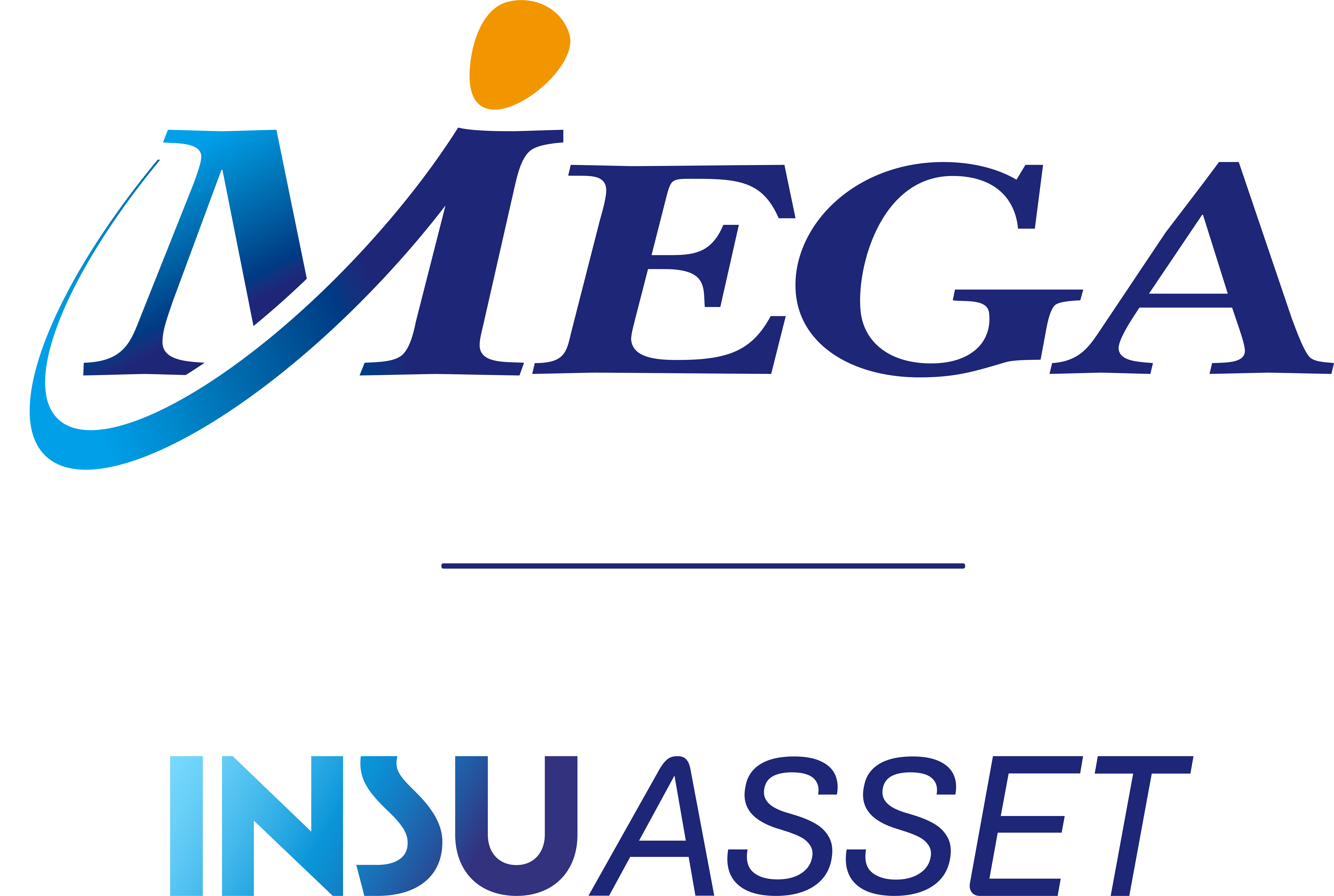 Mega InsuAsset 회사 로고.