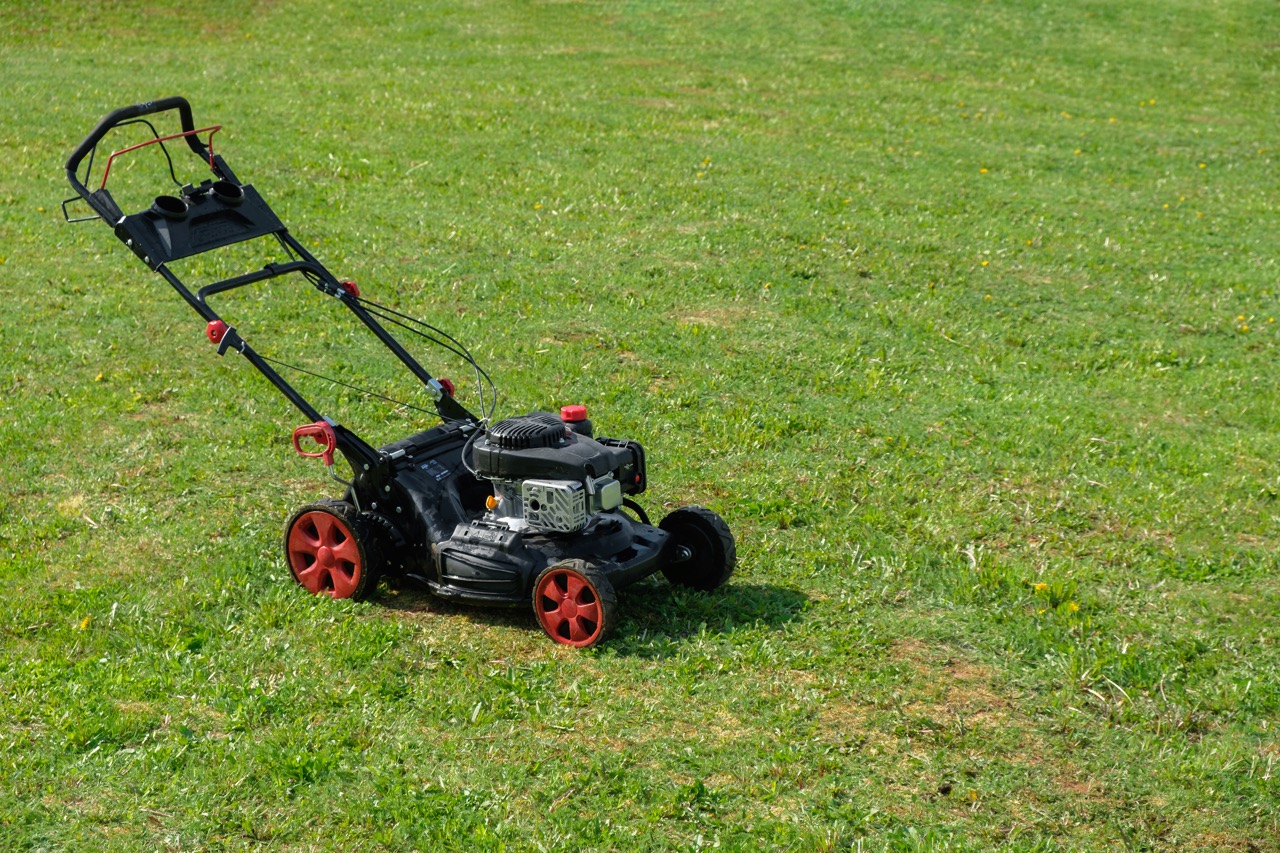 Simple Lawn Care Tips for Busy Households