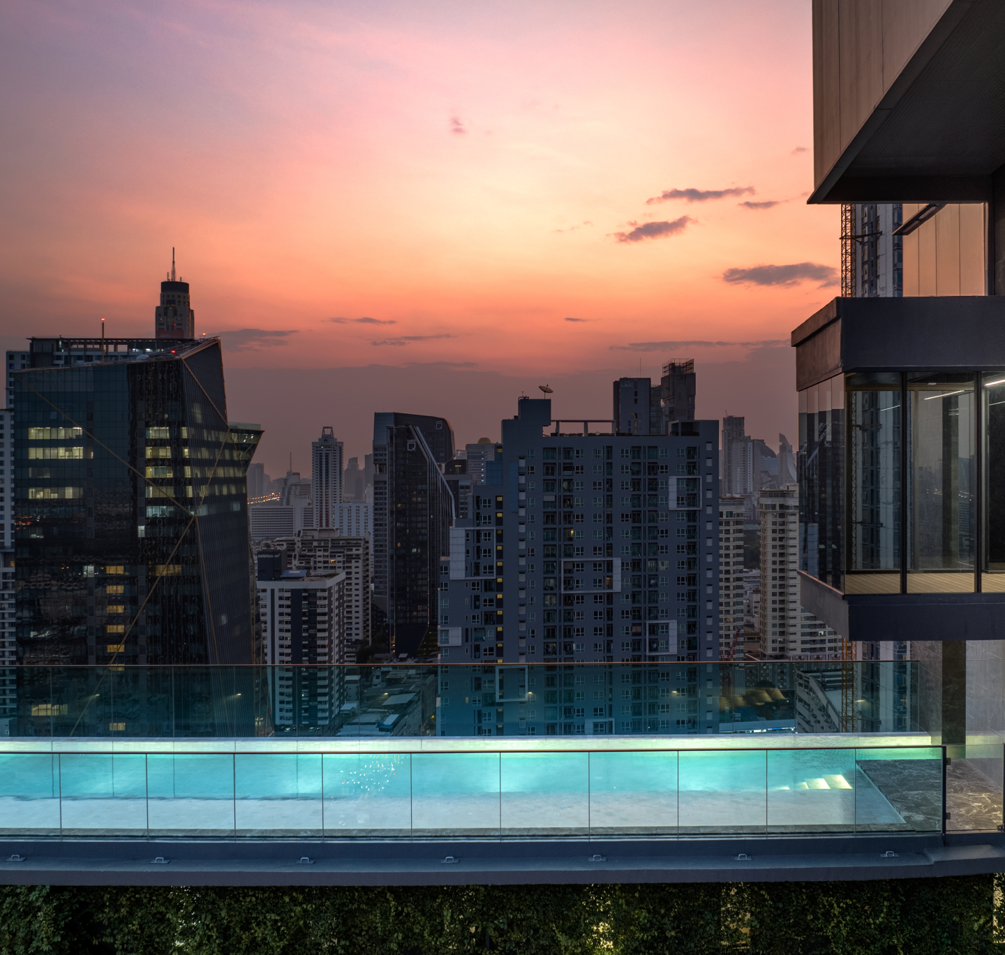 CONNER RATCHATHEWI Where Home Welcomes Every Paw