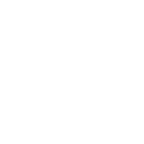 Video Play Button - Fitnestic X Webflow Template