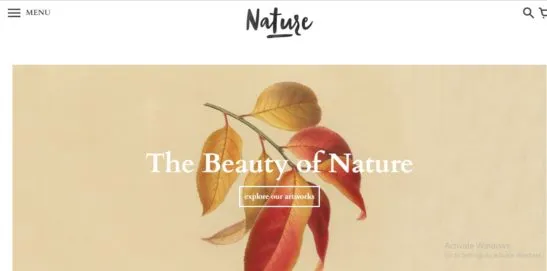 Colors Shopify Theme