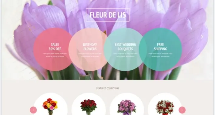 Fleur de lis Shopify Theme