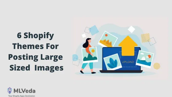 Top 6 Shopify Themes that Provide Big Imageries for Banners