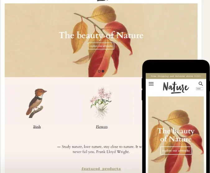 Colors Shopify Theme