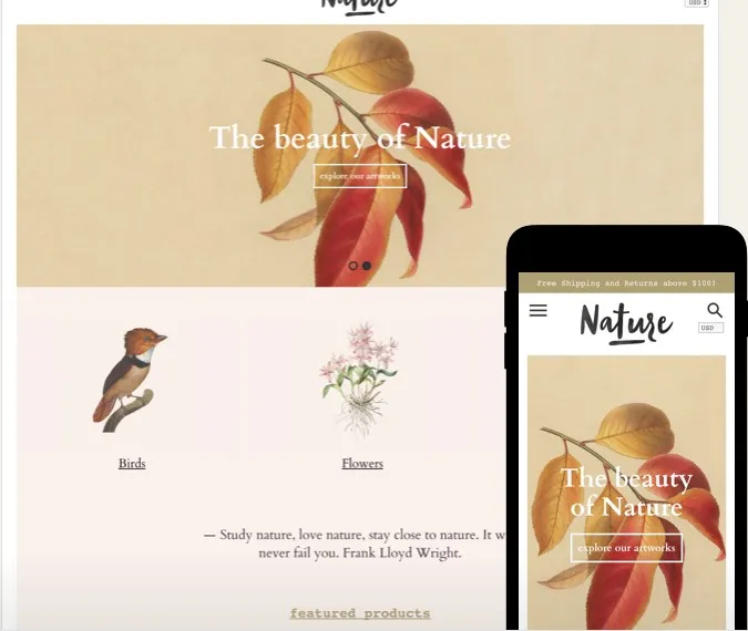 Colors Shopify Theme