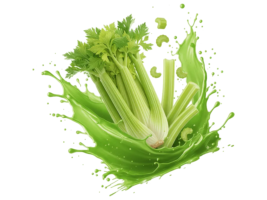 Picture of Celery