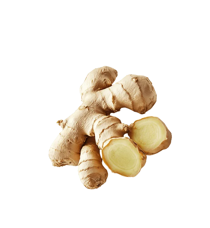 Picture of Ginger