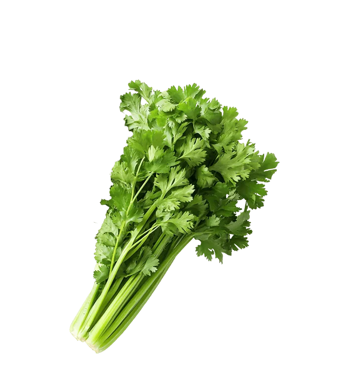 Picture of Parsley
