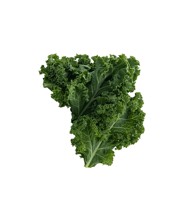 Picture of Kale