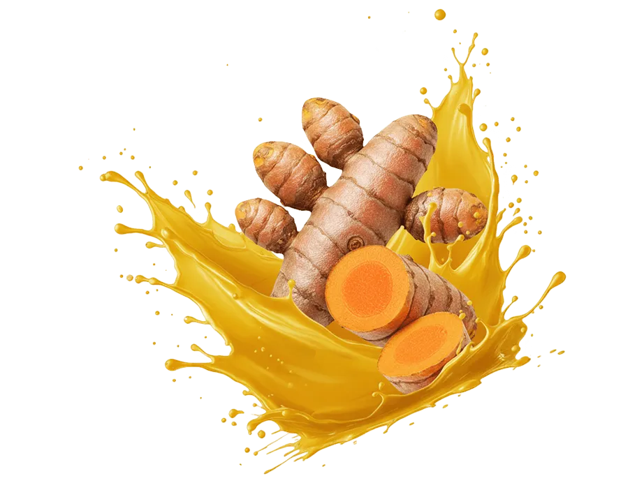 Picture of Turmeric