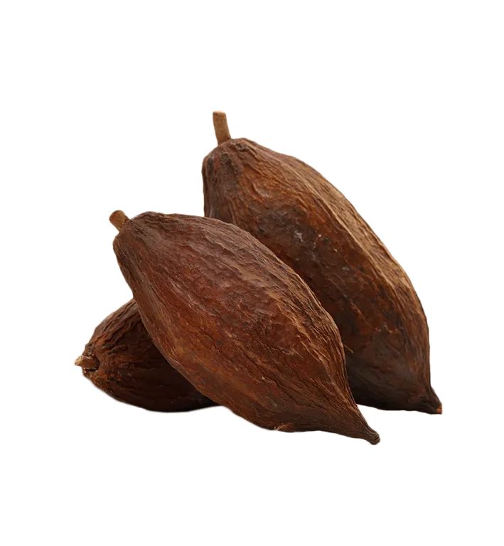 Picture of Cacau