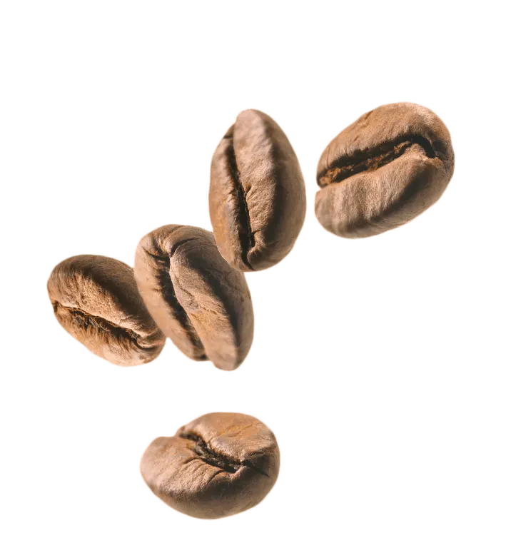 Picture of Coffee Beans