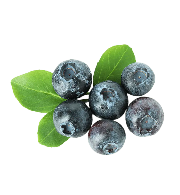 Picture of Blue Berries