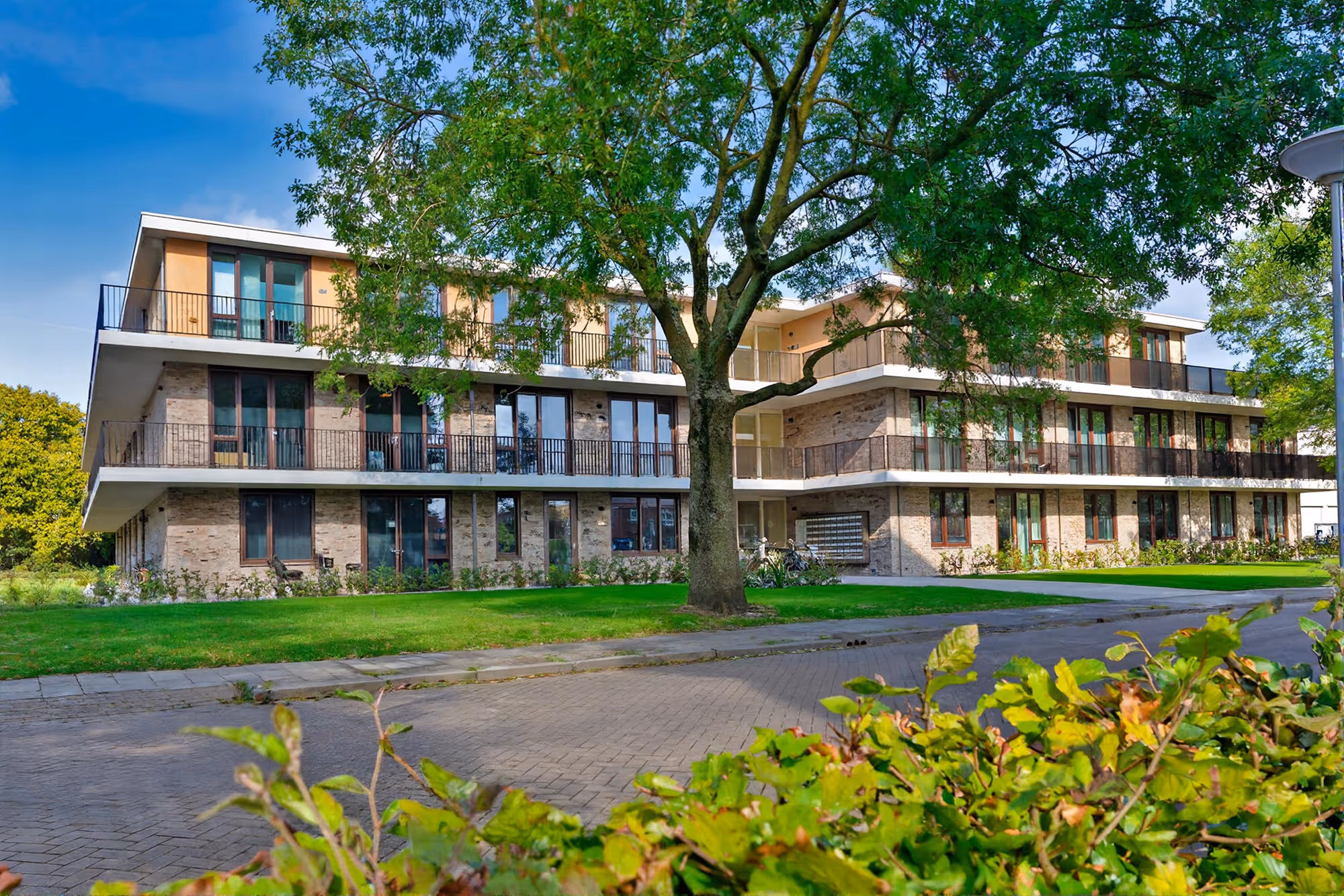 Modern appartementencomplex met drie verdiepingen, groot loofboom op de voorgrond en groene grasvelden.