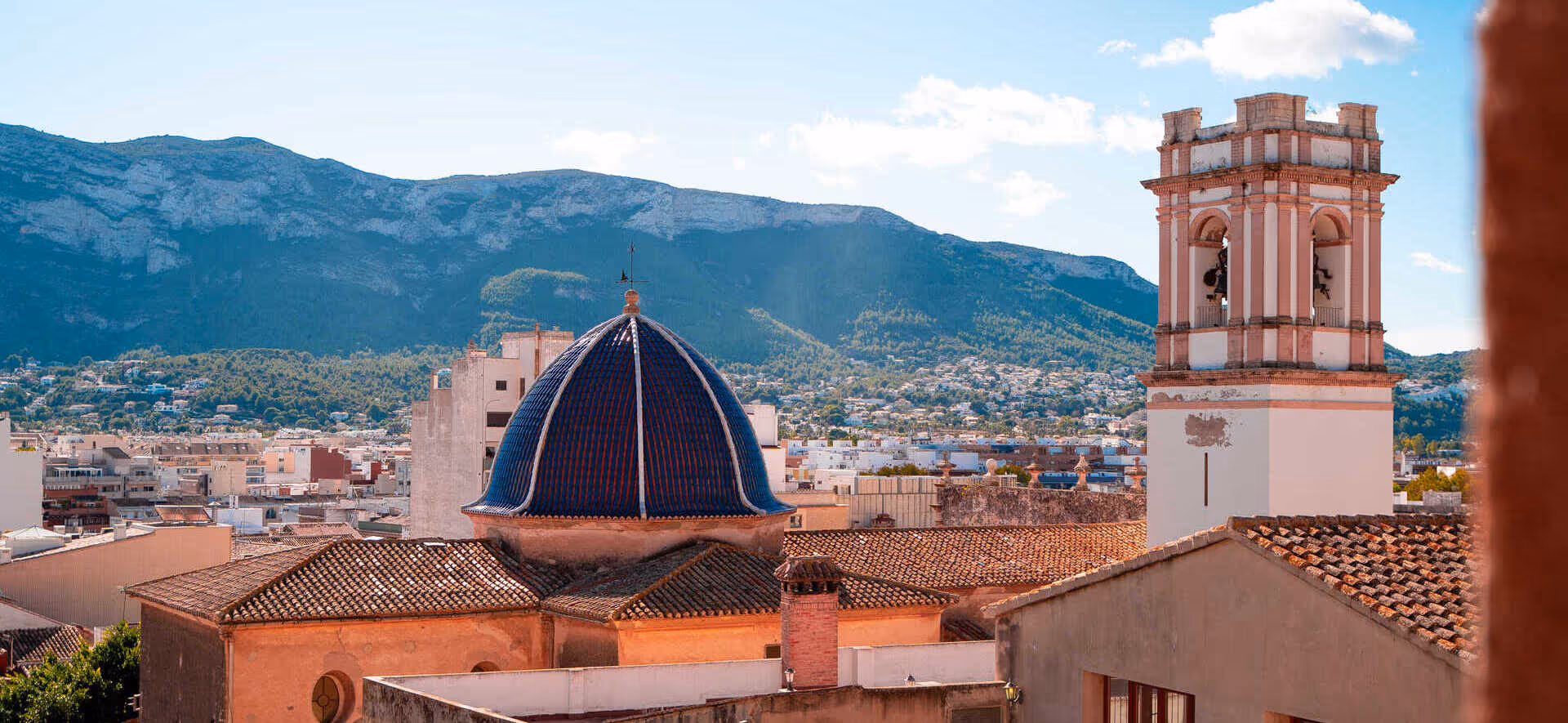 Premium pool & garden professionals in Denia