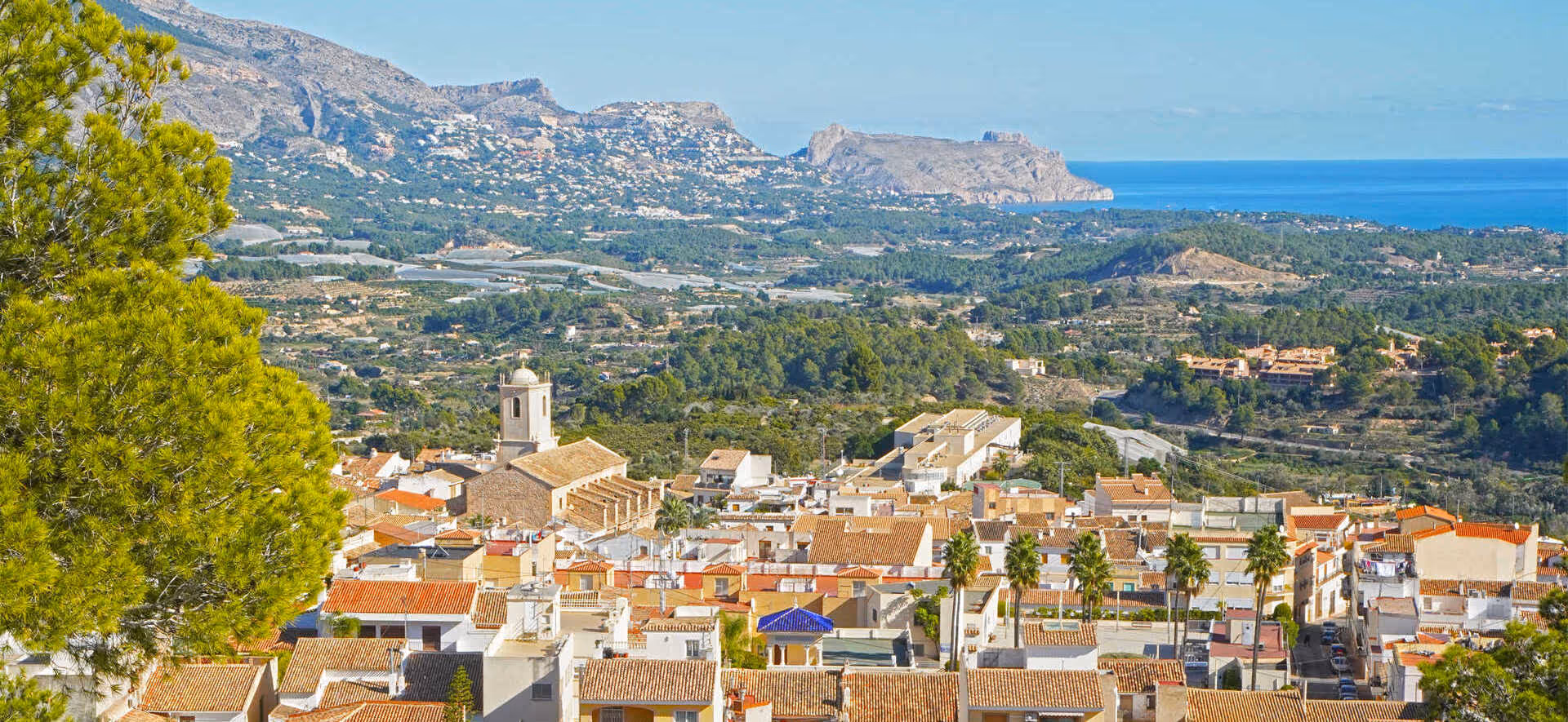 Premium pool & garden services in La Nucía.