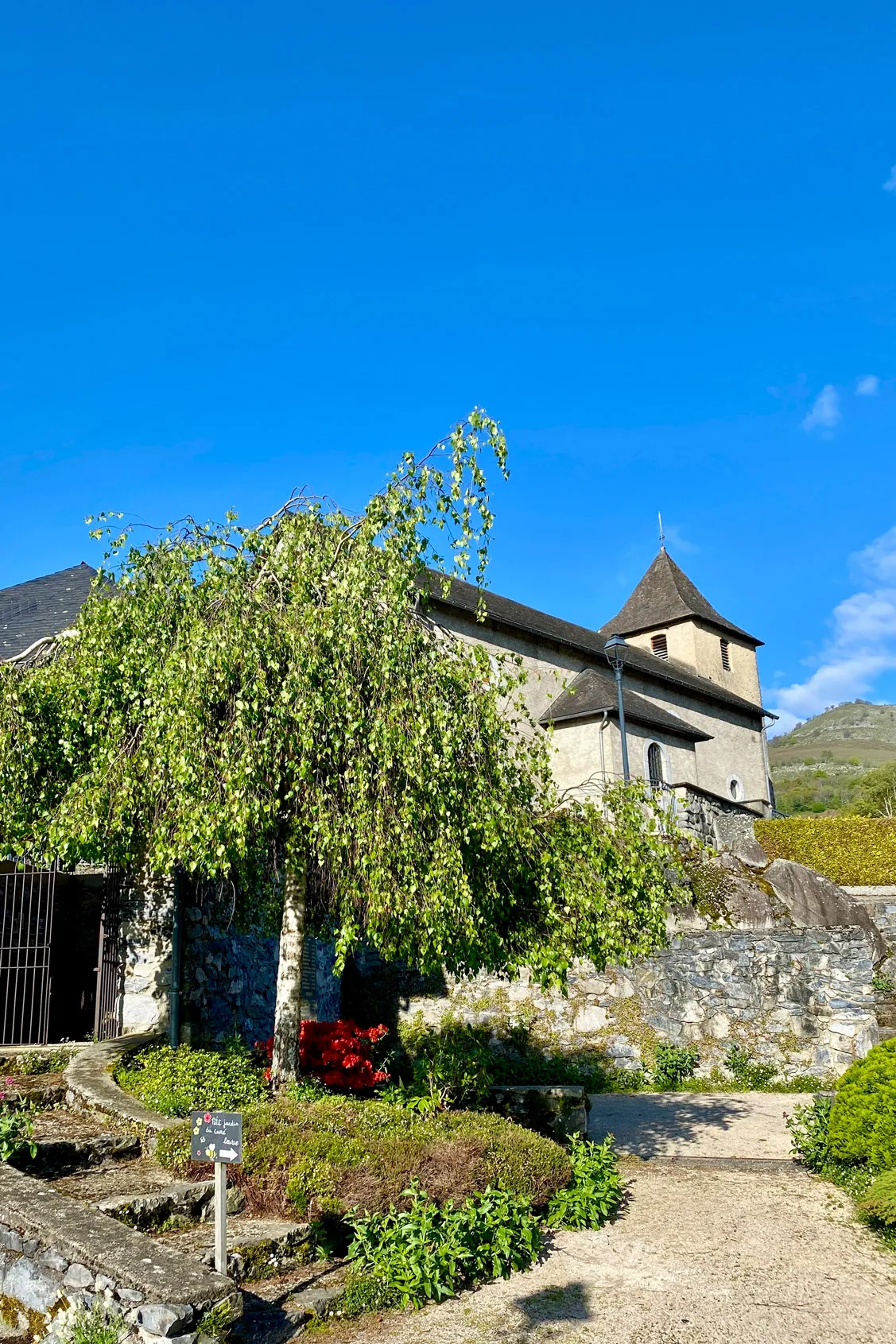 Arbre avec feuillage vert devant un mur en pierre et une église sous un ciel bleu clair.