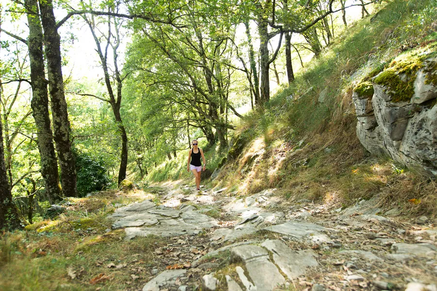 Femme marchant sur un chemin rocheux en forêt lumineuse avec des arbres verts autour.