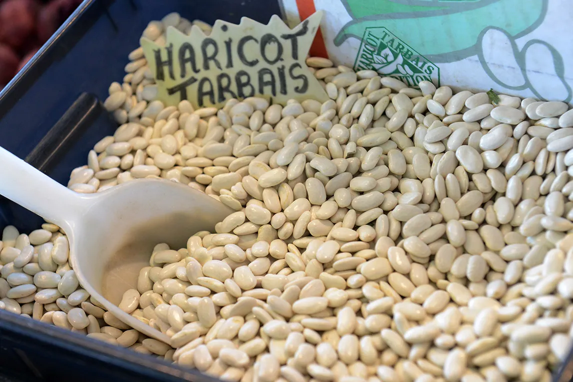 Haricot tarbais blancs dans un bac avec une cuillère en plastique blanche.