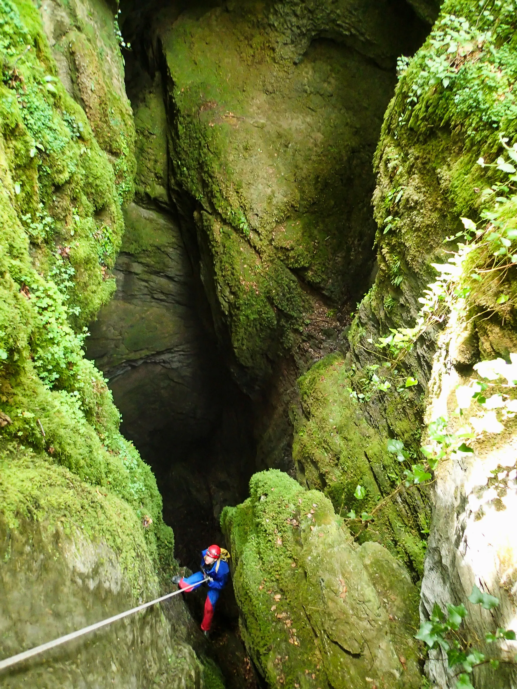 Spéléologue descend dans un gouffre recouvert de mousse et de végétation par une corde.