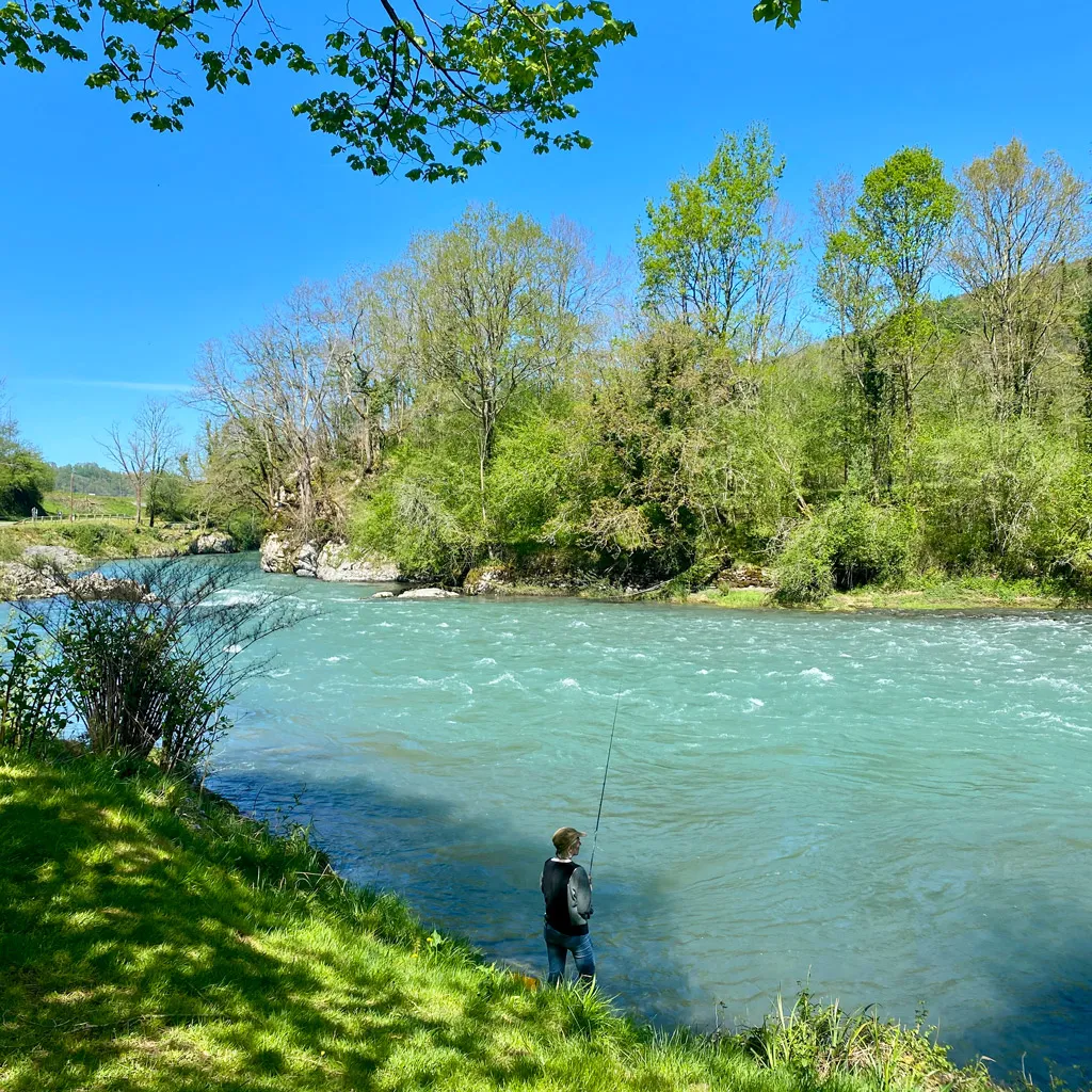 Un pêcheur au bord d'une rivière entourée d'arbres verts sous un ciel bleu clair.