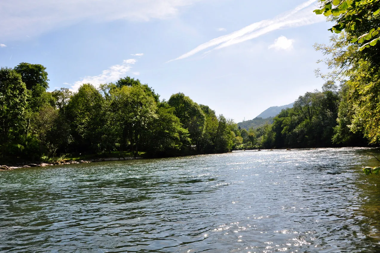 Rivière coulant entre les arbres verts avec une montagne à l'arrière-plan sous un ciel bleu clair.