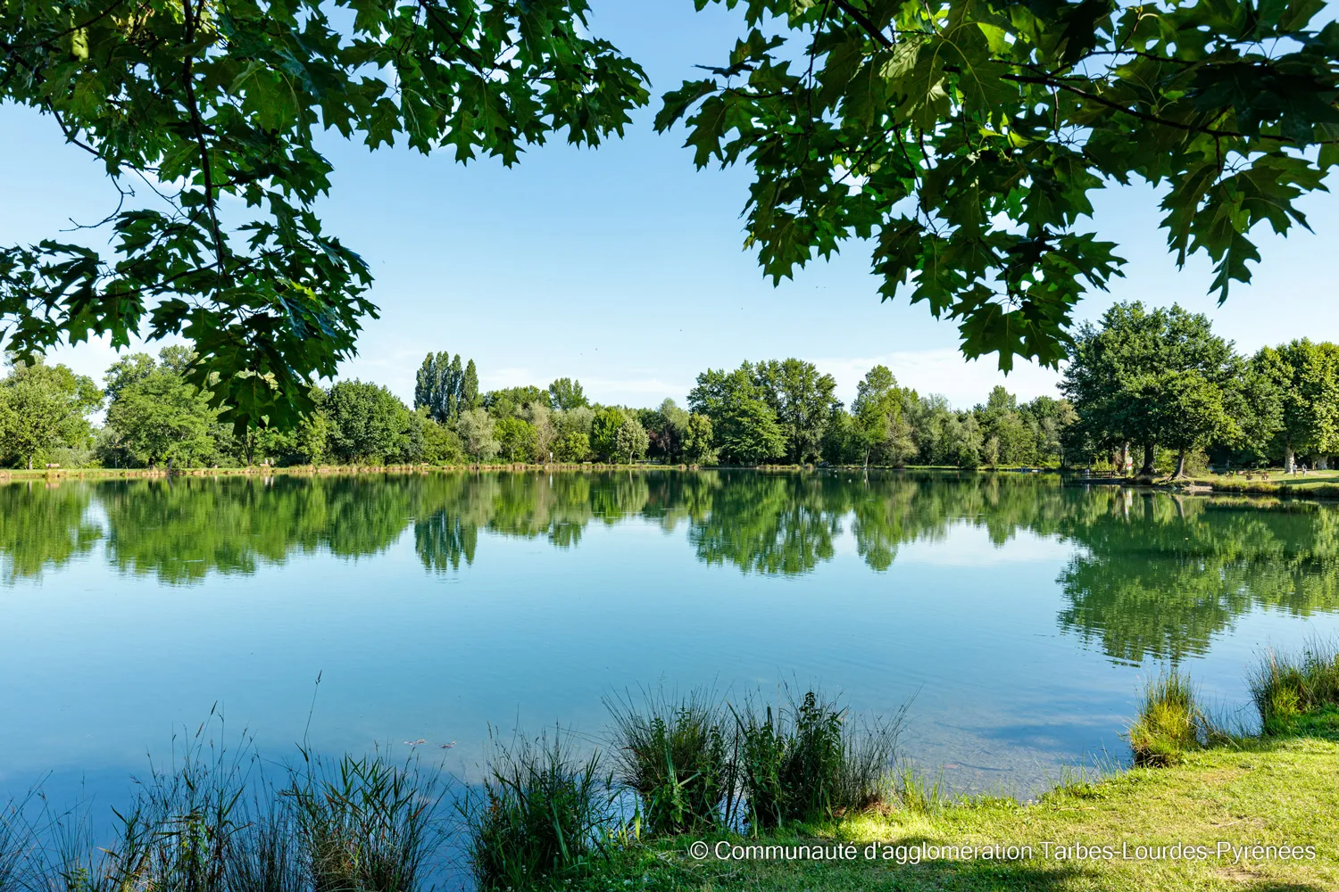 Lac calme entouré d'arbres verts avec reflet sur l'eau sous un ciel bleu clair