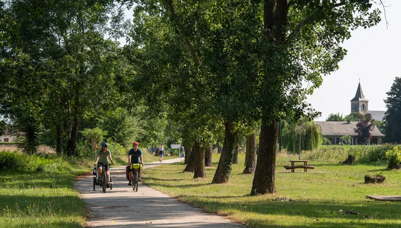 Deux personnes font du vélo sur un chemin bordé d'arbres avec une église en arrière-plan.