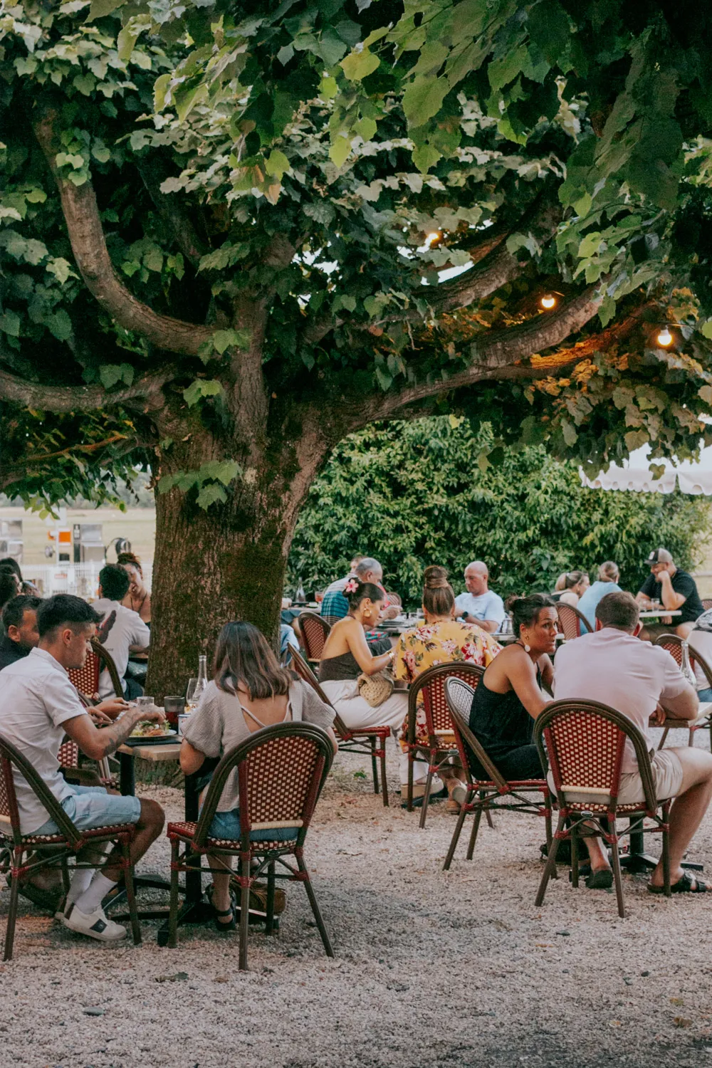 Des gens mangent et discutent sous un grand arbre à une terrasse extérieure en soirée.
