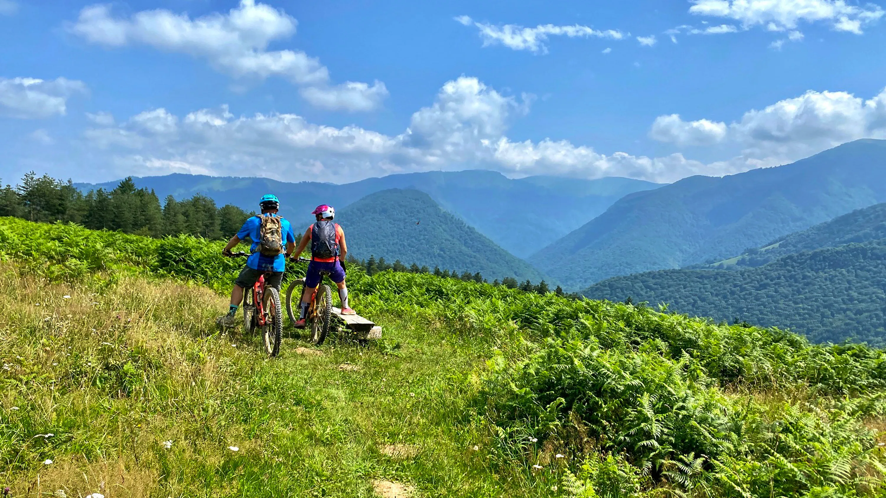 Deux cyclistes portant des casques s'arrêtent sur un sentier de montagne verdoyant sous un ciel bleu.