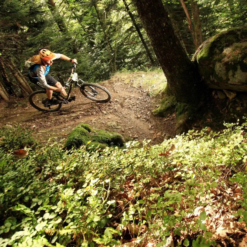 Cycliste en VTT portant un casque orange descend un sentier forestier en terrain accidenté.