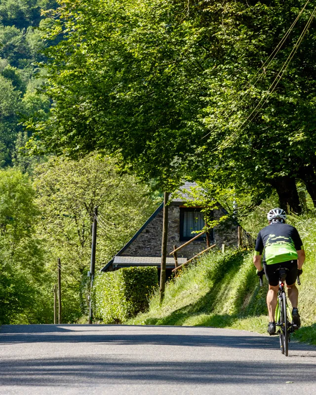 Cycliste en tenue noire et verte roulant sur une route bordée d'arbres et d'une maison en pierre.