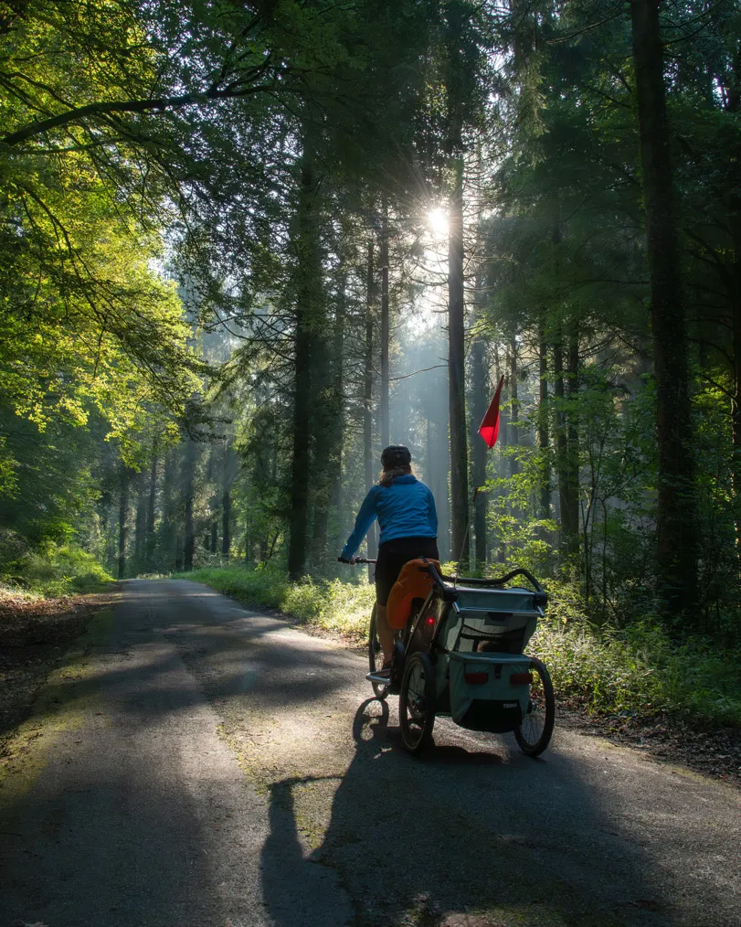 Une personne fait du vélo sur une route forestière avec une remorque à l'arrière sous le soleil.