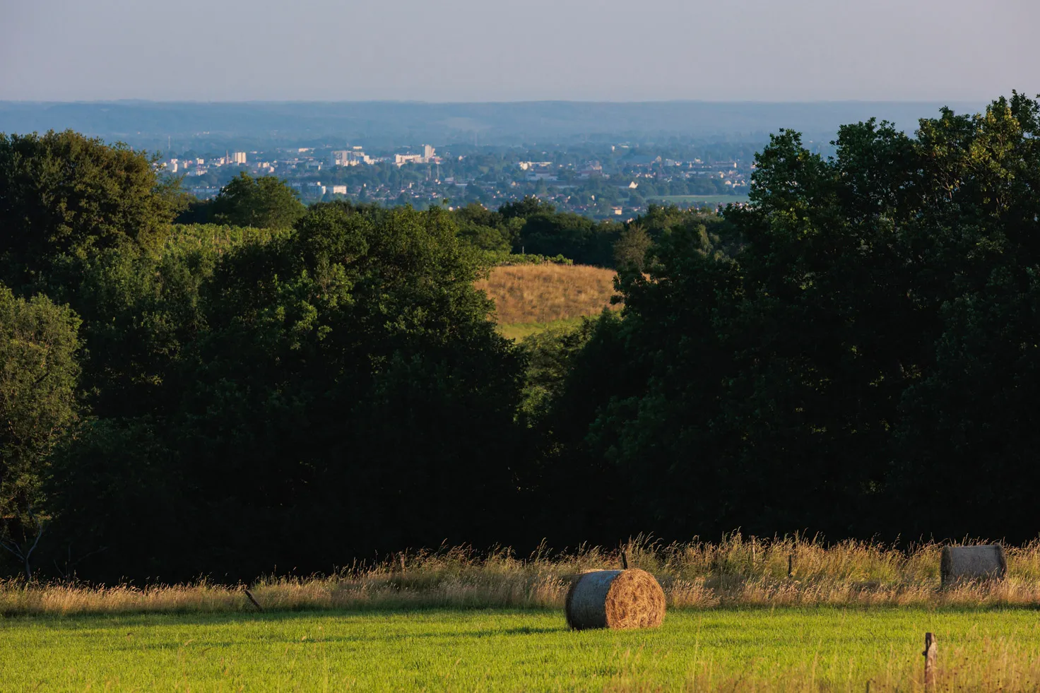 Paysage rural avec des bottes de foin sur un champ vert, des arbres et une ville en arrière-plan.