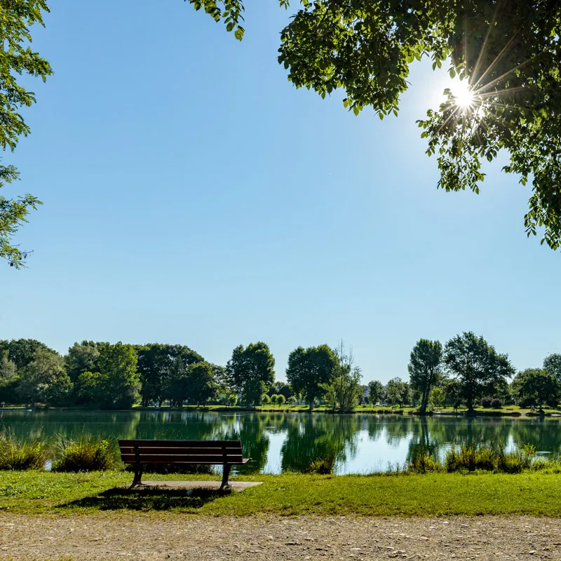 Banc vide face à un lac calme entouré d'arbres sous un ciel bleu ensoleillé.