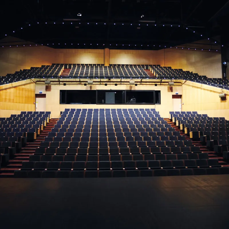 Grande salle de spectacle vide avec rangées de sièges noirs et murs en bois clair.