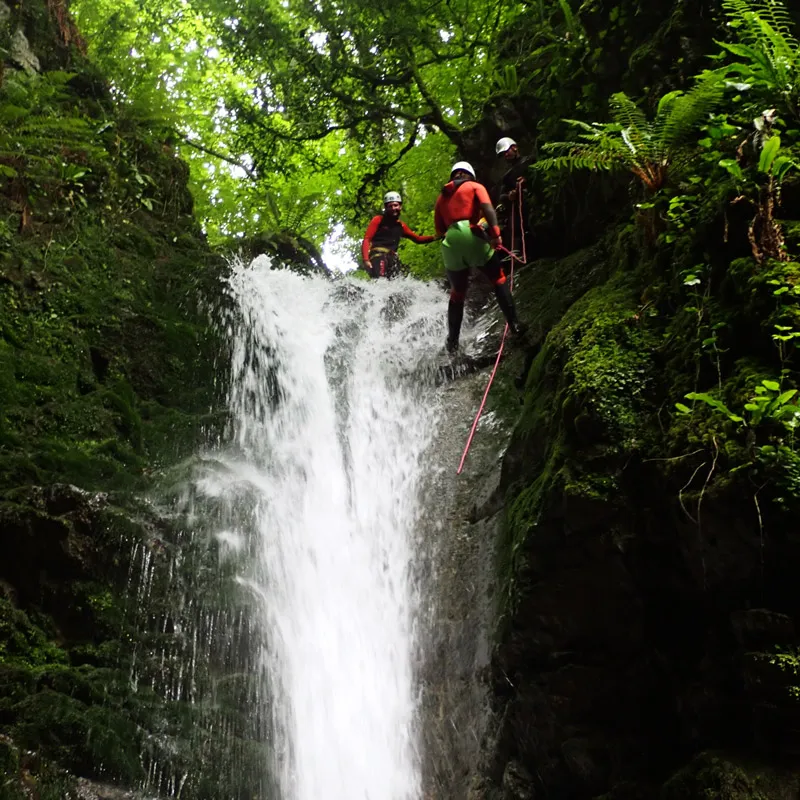 Trois personnes en combinaison et casque descendent une cascade en rappel dans une forêt dense.