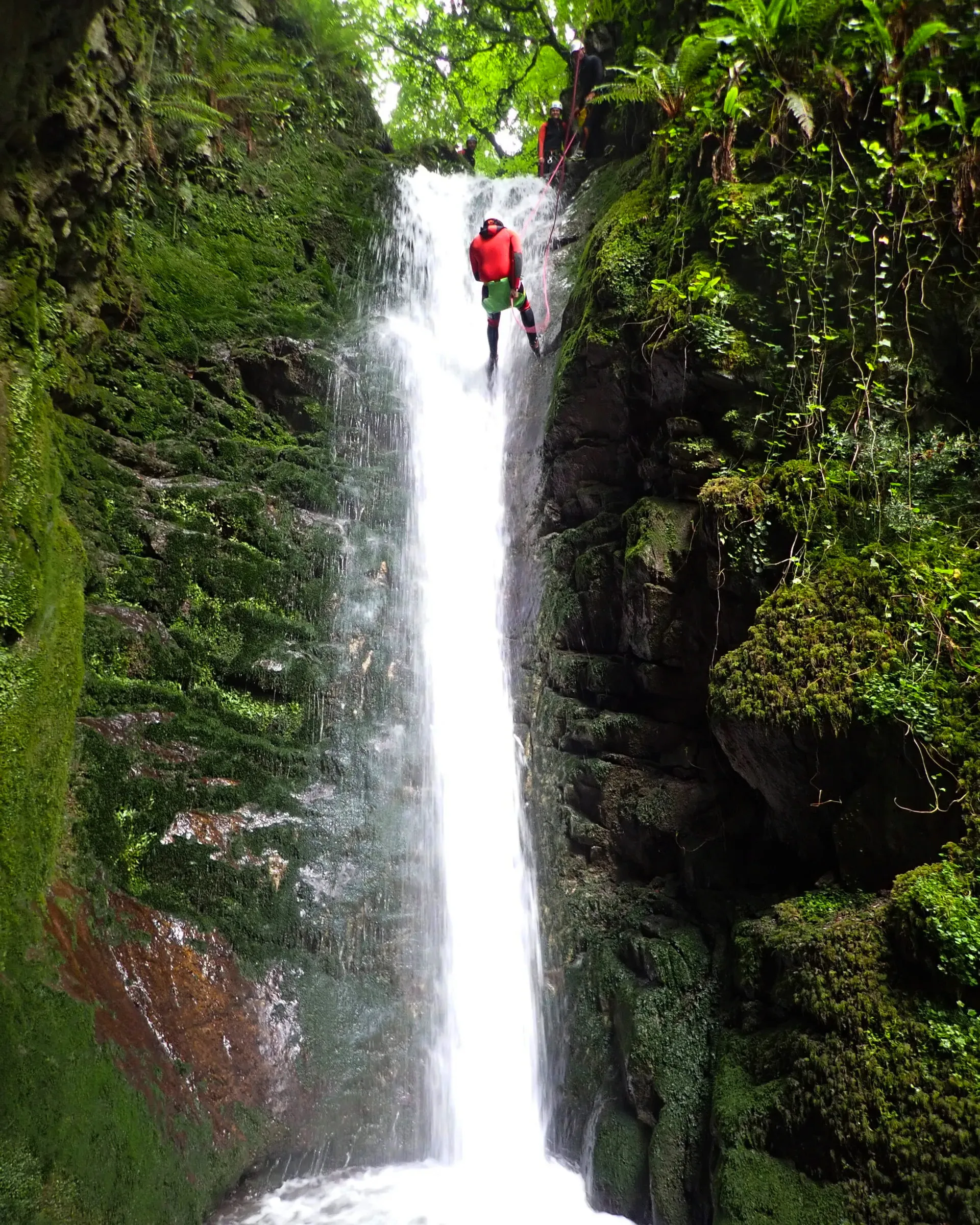 Person descends a tall waterfall with green mossy rocks and trees overhead.