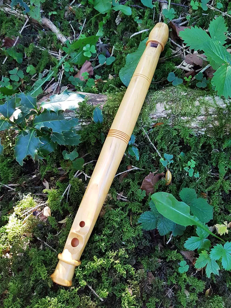 Flûte en bois à trois trous posée sur un tapis de mousse et feuilles dans la forêt.