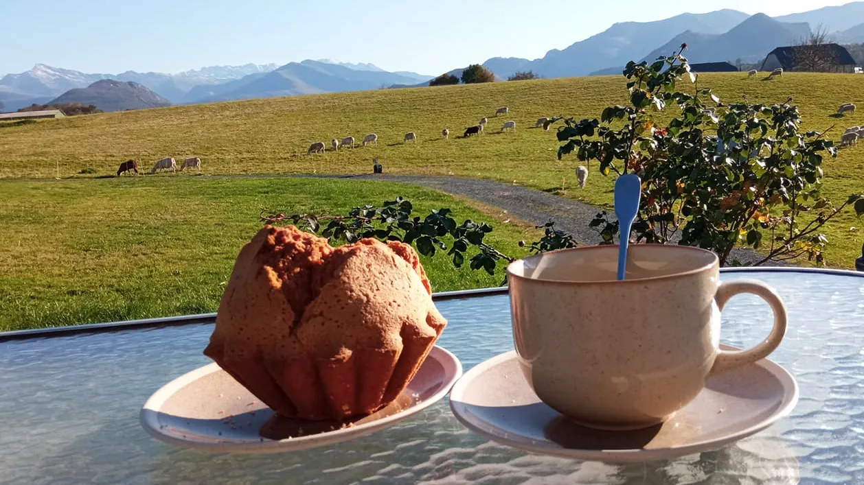 Tasse de café avec cuillère et gâteau posés sur une table en verre, prairie et moutons en arrière-plan.