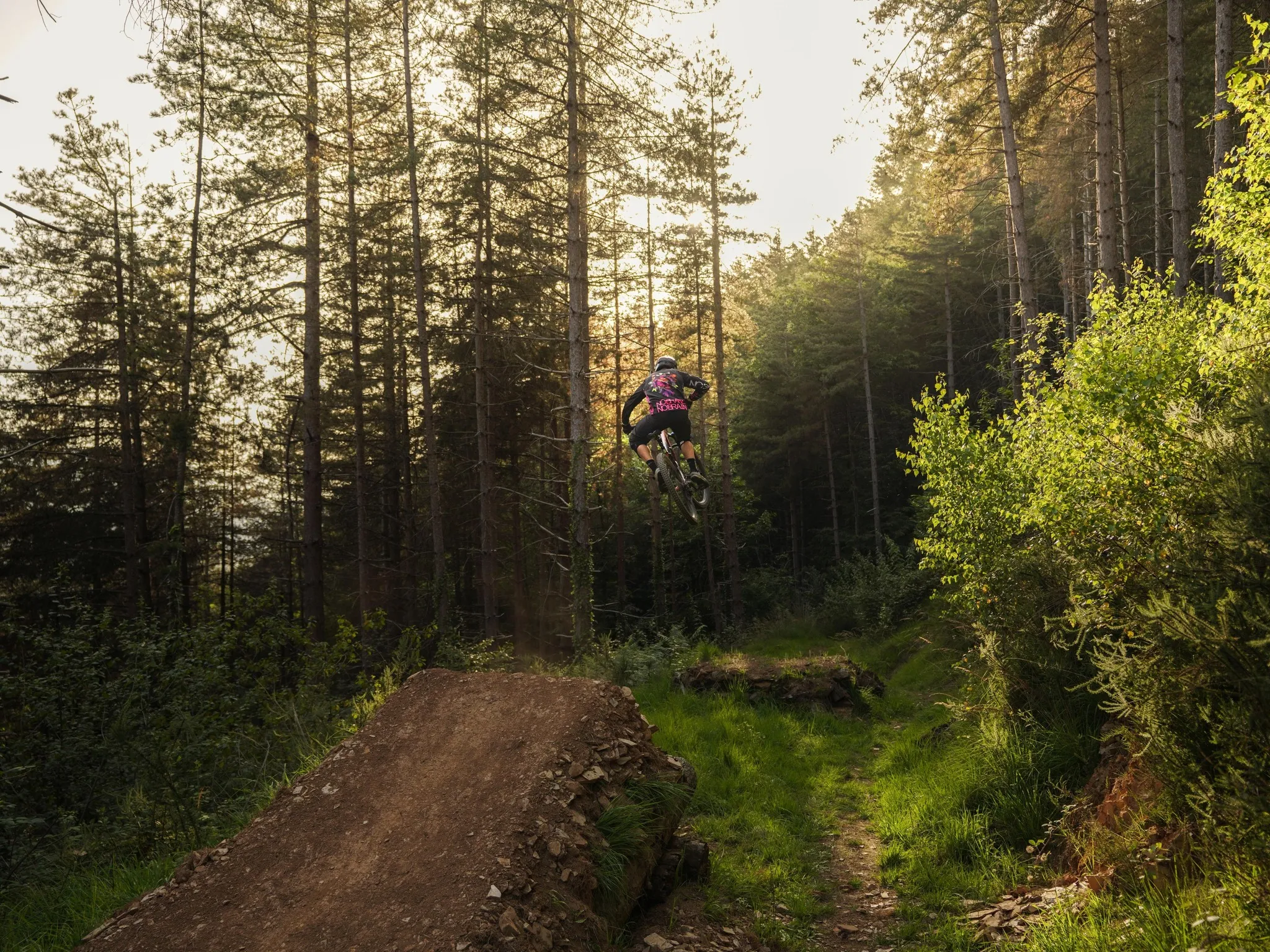 Un cycliste fait un saut en VTT sur une piste en terre dans une forêt en fin de journée.
